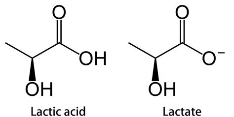  Lactic Acid – Kemianteollisuuden Kulmakivi ja Biohajoava Ihmeaine!