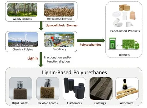  Ligniini – Uusi Aalto Biopohjaisissa Materiaaleissa ja Kemikaaleissa?